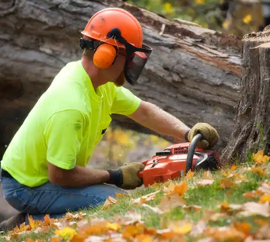 tree services Banner Elk